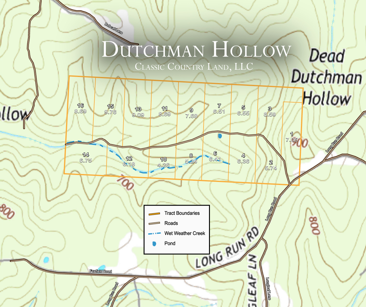 Dutchman Hollow topographic plat map