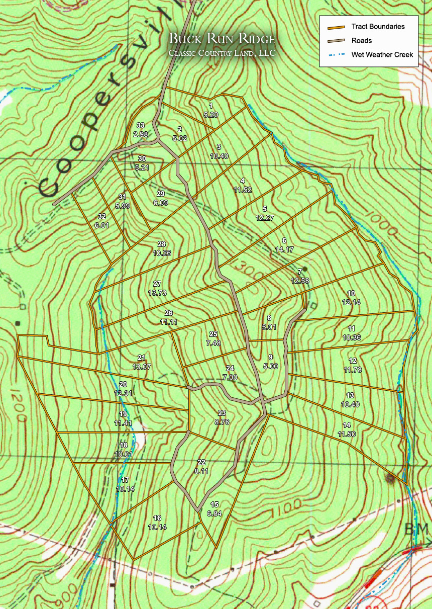 Buck Run Ridge topographic plat map