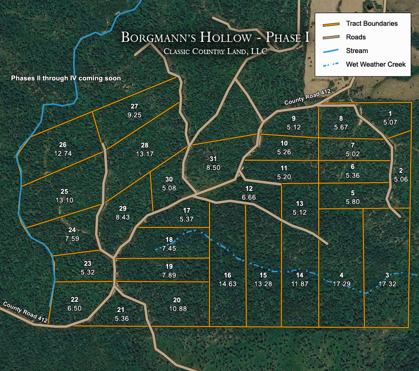 Borgmann’s Hollow Phase I satellite plat map