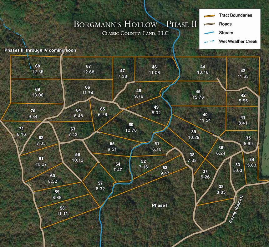 Borgmann’s Hollow Phase II satellite plat map