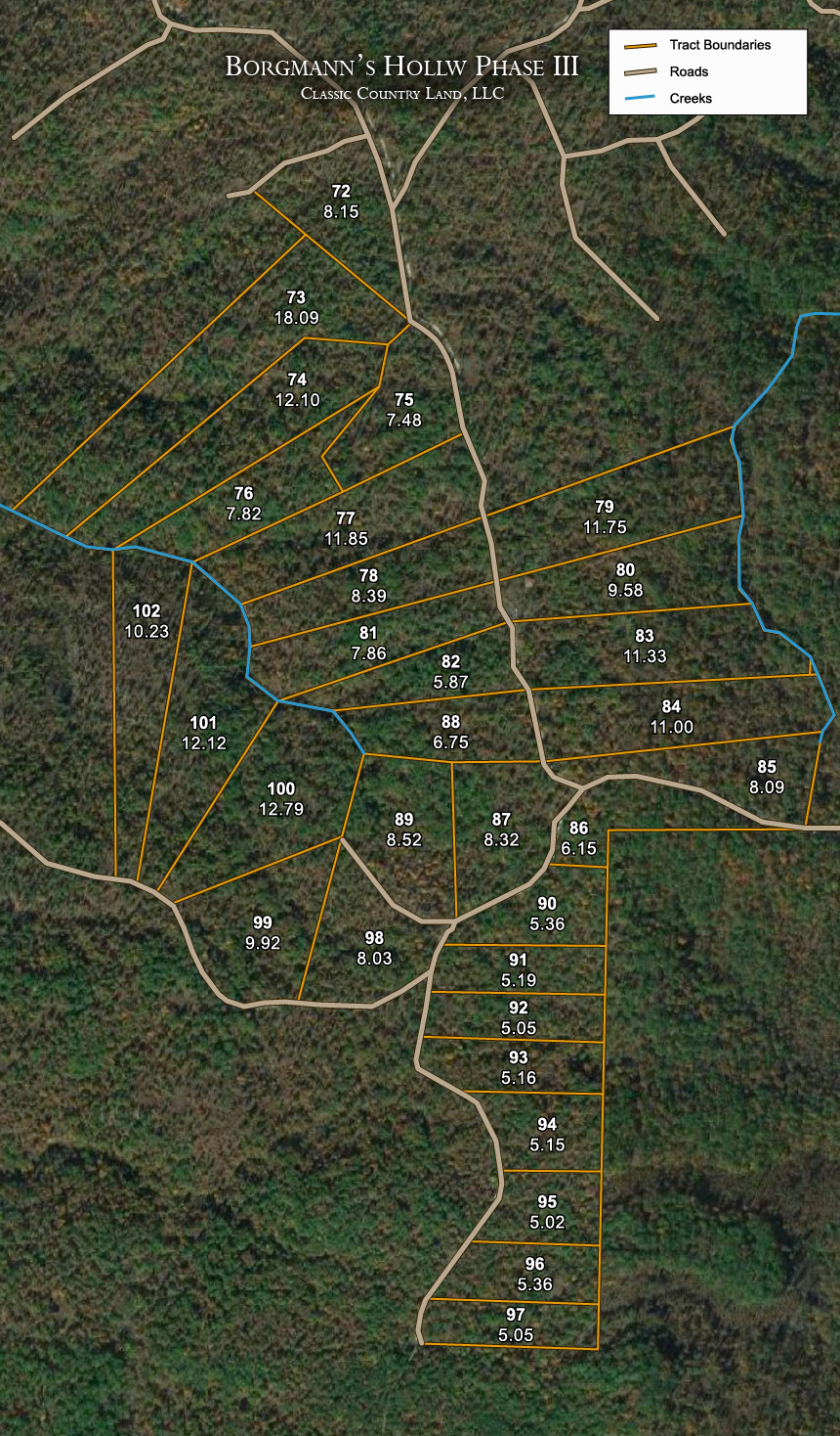 Borgmann’s Hollow Phase III satellite plat map