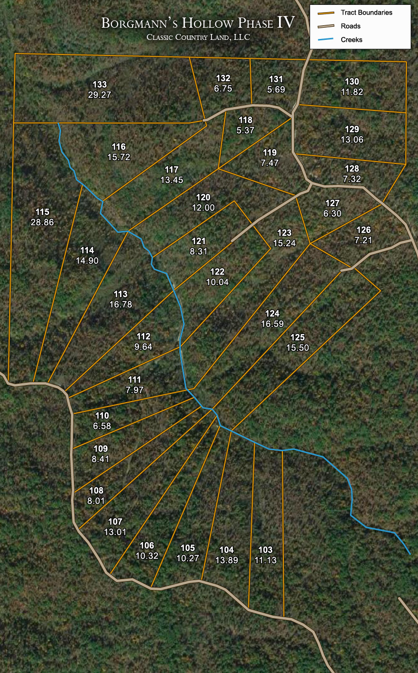 Borgmann’s Hollow Phase IV satellite plat map