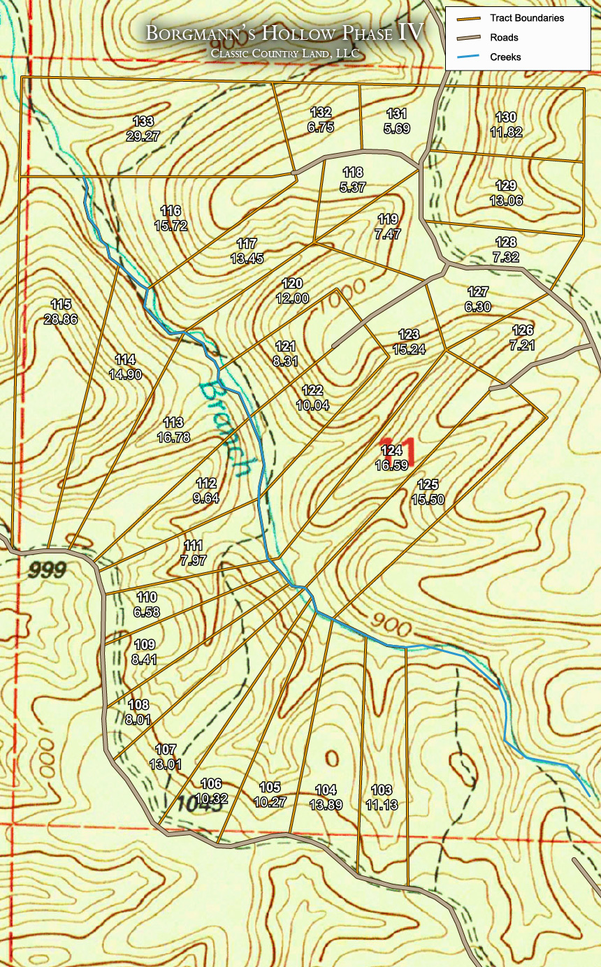 Borgmann’s Hollow Phase IV topographic plat map