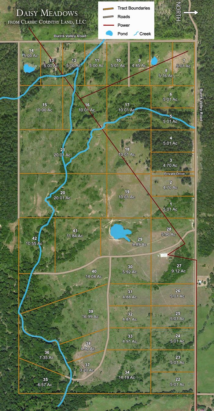 Daisy Meadows topographic plat map