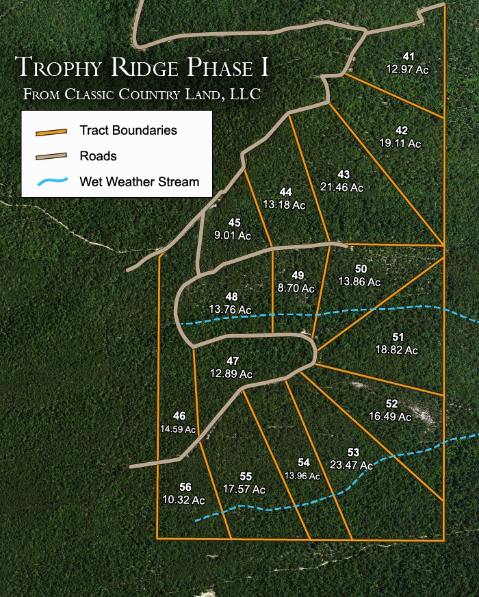 Trophy Ridge Phase I satellite plat map