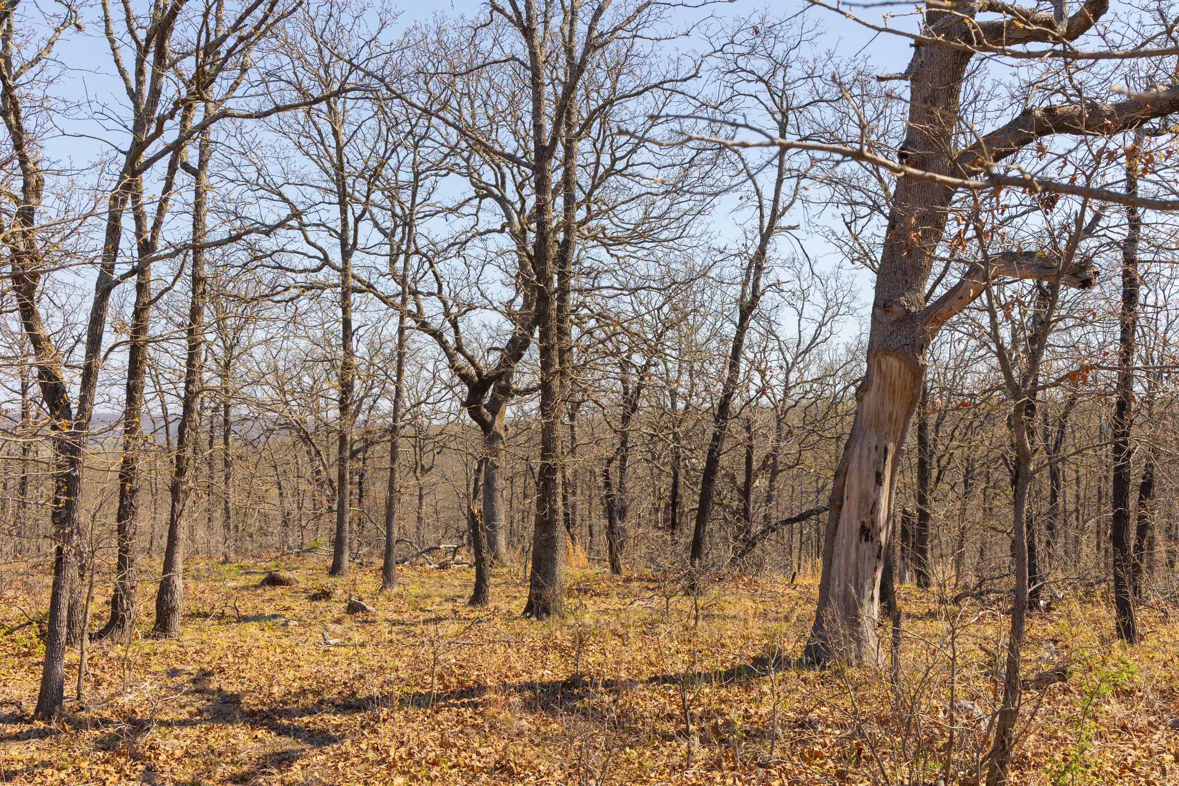 JLH Estates - Oklahoma Land For Sale