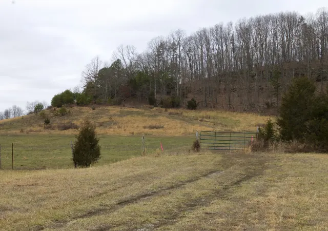 Majestic Rock Ranch - Kentucky (sold out)