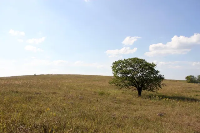 Cowboy Meadows - Kansas Land For Sale