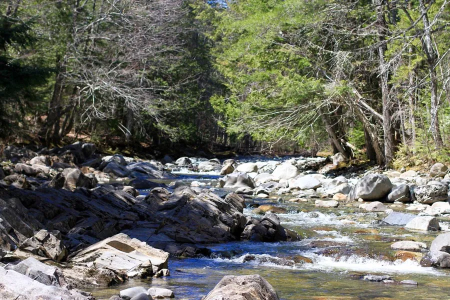 Pleasant Ridge Ranch - land for sale in Somerset County, Maine
