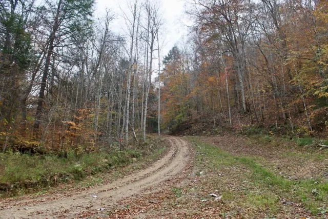 Autumn Ridge - Kentucky Land For Sale