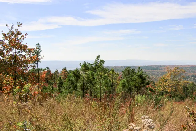 Stone Creek Phase III