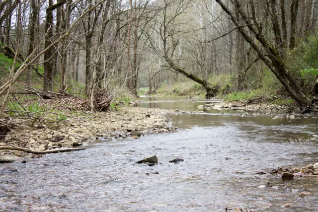 Chestnut Oak Ridge - Kentucky Land For Sale