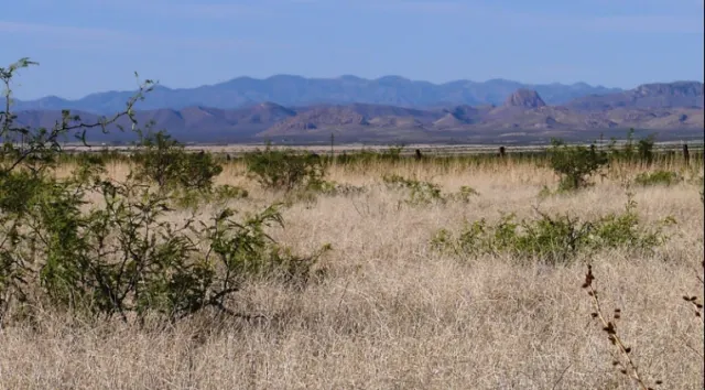 Cochise County - Arizona (sold out)