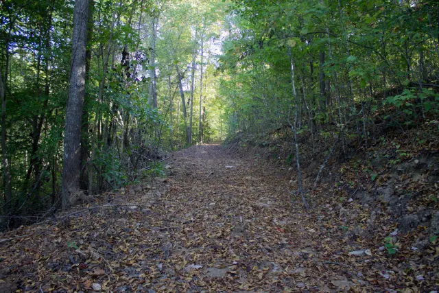 Black Oak Ranch - Kentucky Land For Sale