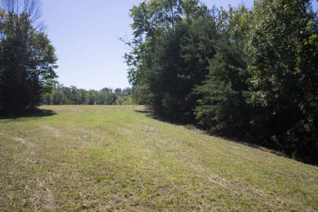Upper Line Creek - Kentucky (sold out)