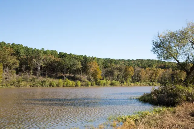 Stone Creek - Oklahoma Land For Sale