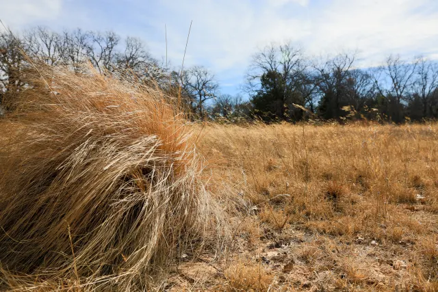 Legacy Ranch - Oklahoma (sold out)