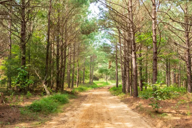 Whiskey Ridge - Tennessee Land For Sale