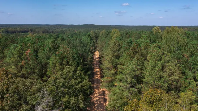 Willow Grove - Alabama Land For Sale