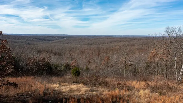 Dutchman Hollow
