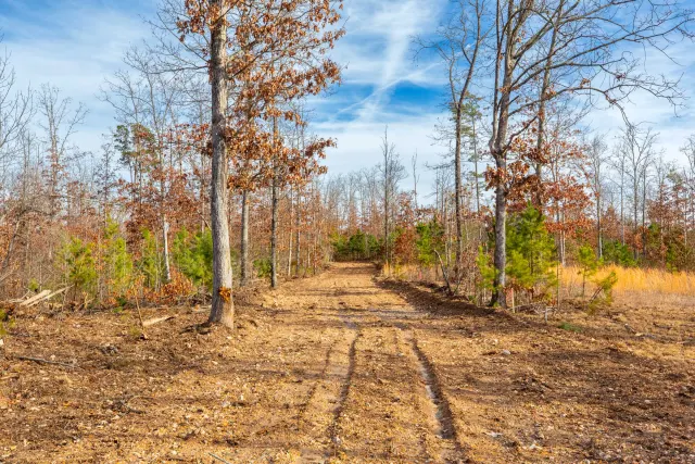 Windy Ridge - Missouri Land For Sale