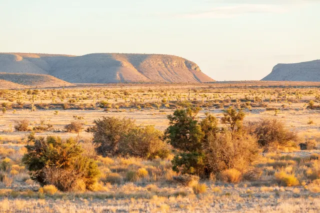 Sunrise Ranches Phase IV