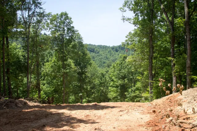 Buck Run Ridge - Kentucky Land For Sale