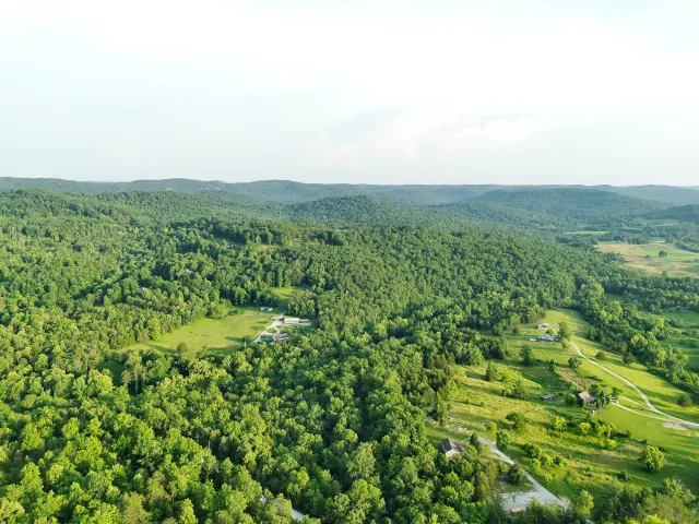Poppy’s Point - Kentucky Land For Sale