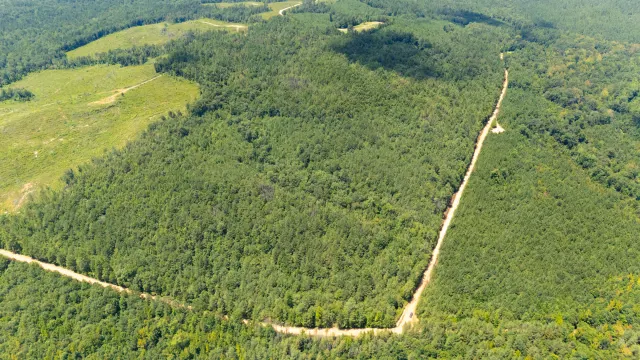 Olive Hill - Alabama (sold out)
