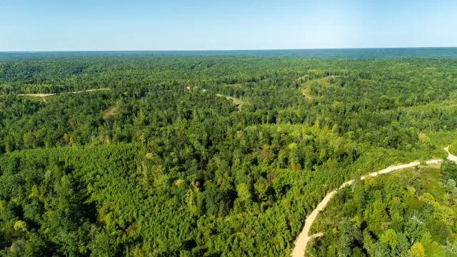 Big White Oak - Tennessee Land For Sale