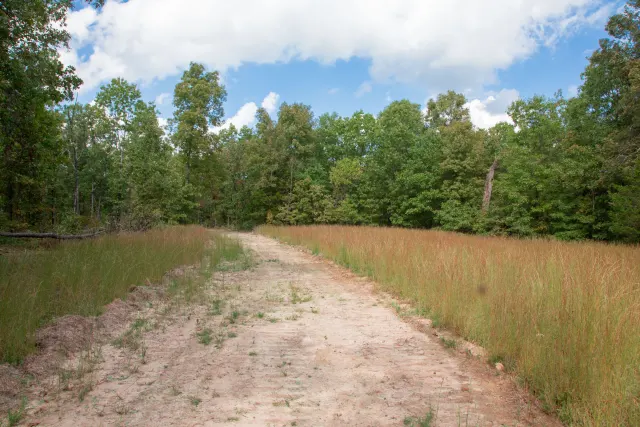 Wagon Wheel Ranch - Missouri Land For Sale