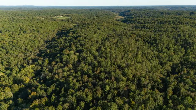 Fox Hollow - Missouri Land For Sale