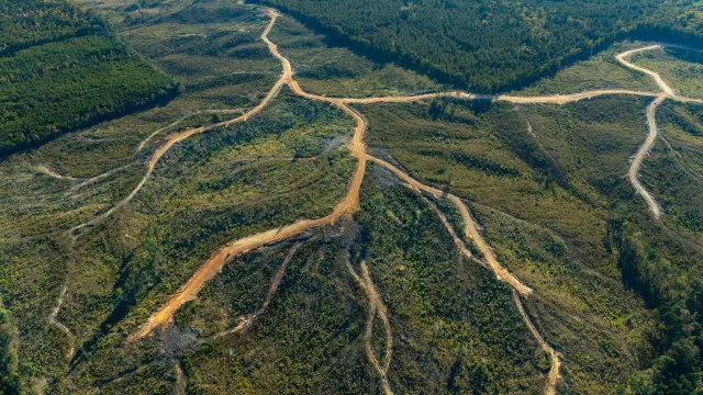Meyer’s Ridge - Mississippi Land For Sale
