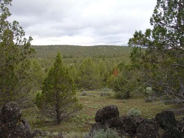 Modoc County - California (sold out)