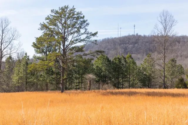 Jade Pass - Kentucky Land For Sale
