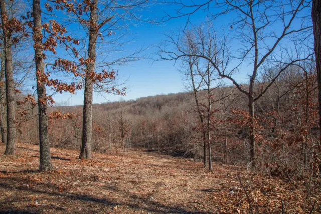 Buffalo Hills - Missouri (sold out)
