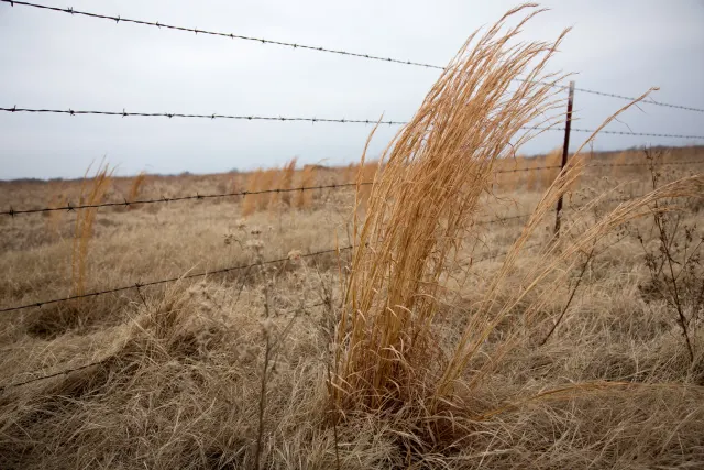 Canadian Plains - Oklahoma Land For Sale