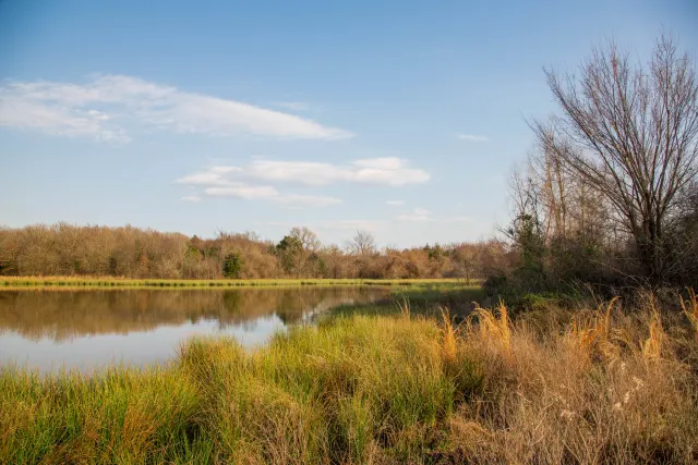 Eufaula Cove - Oklahoma Land For Sale