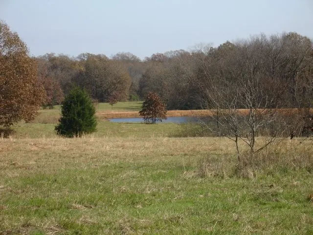 Tranquility Farms - Oklahoma (sold out)