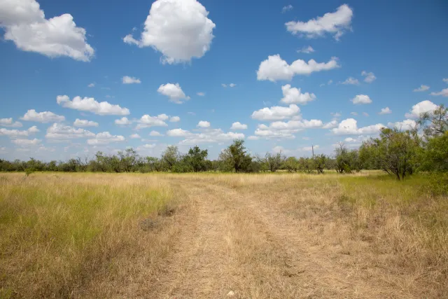 Hunter’s Ranch - Texas Land For Sale