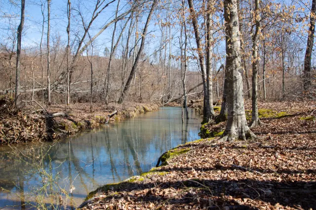 Southwind Ranch - Tennessee Land For Sale