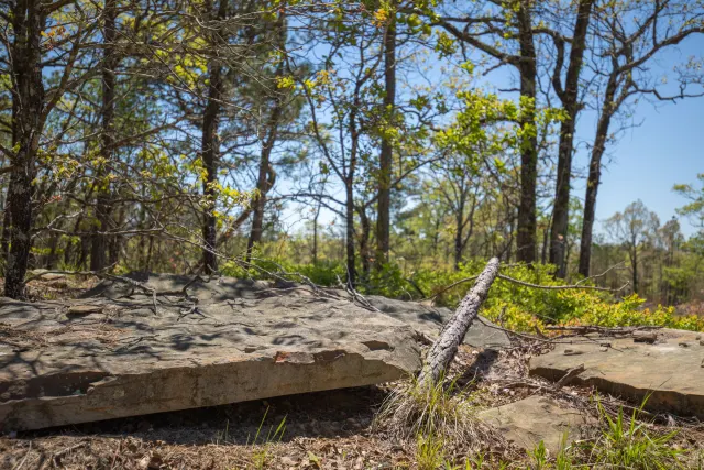 Eagle’s Nest - Oklahoma Land For Sale