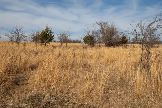 Painted Horse - Oklahoma Land For Sale