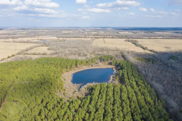 Wishing Star Ranch - Texas Land For Sale