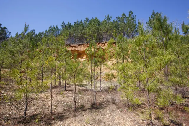 Southern Hills - Mississippi Land For Sale