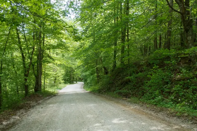 Riverbend - Kentucky Land For Sale