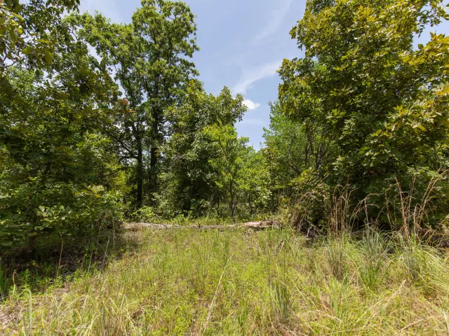 Timber Ridge - Oklahoma Land For Sale
