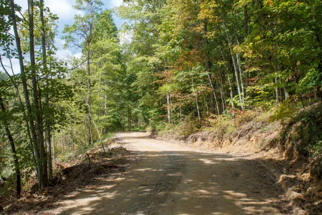 Wounded Oak - Kentucky Land For Sale