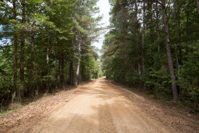 Sky Ranch - Mississippi Land For Sale