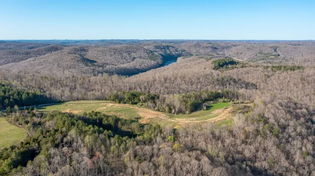 Woodland Heights - Kentucky Land For Sale